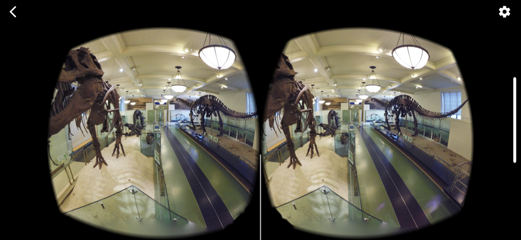 Split screen virtual reality view of a museum exhibit with dinosaur skeletons