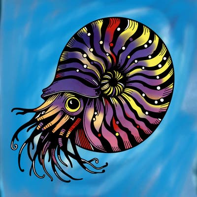 nautilus