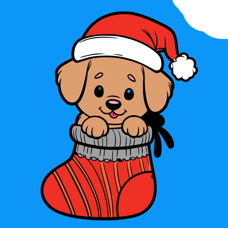 cute puppy wearing santa hat in socking