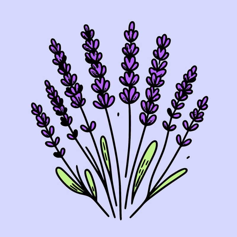 lavender