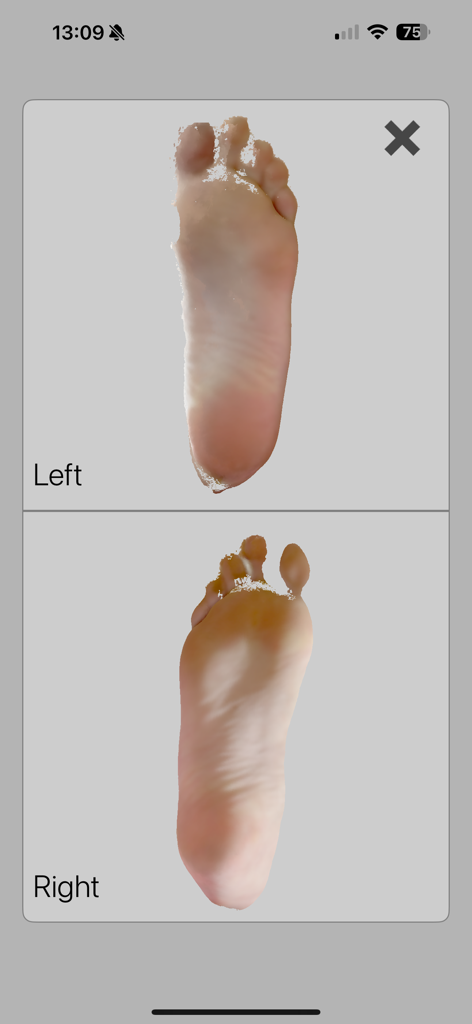 8sole Flex - Escaneo 3D de pies que muestra el pie izquierdo y derecho en la aplicación 8sole Flex.