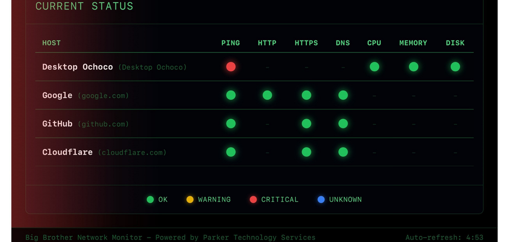 Painel do monitor de rede exibindo conectividade do host e métricas de desempenho do sistema