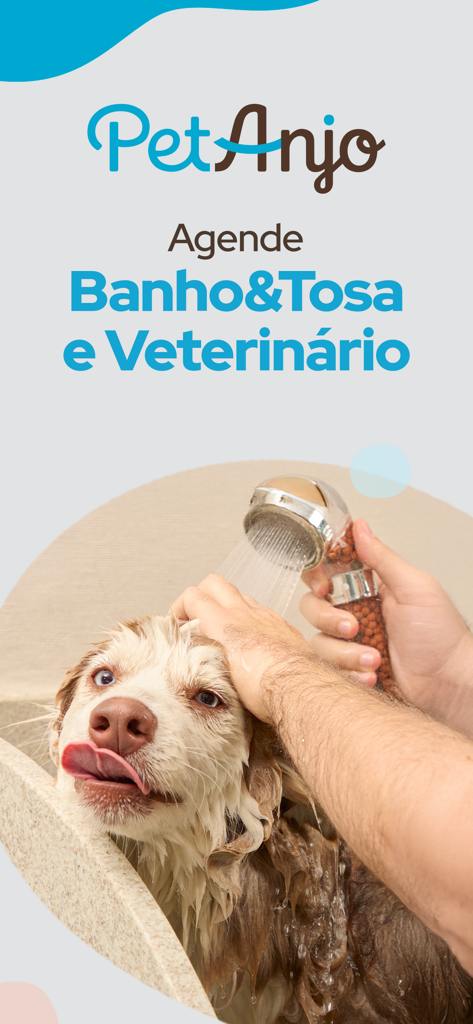 A dog getting a bath for the Pet Anjo grooming and veterinary service scheduling