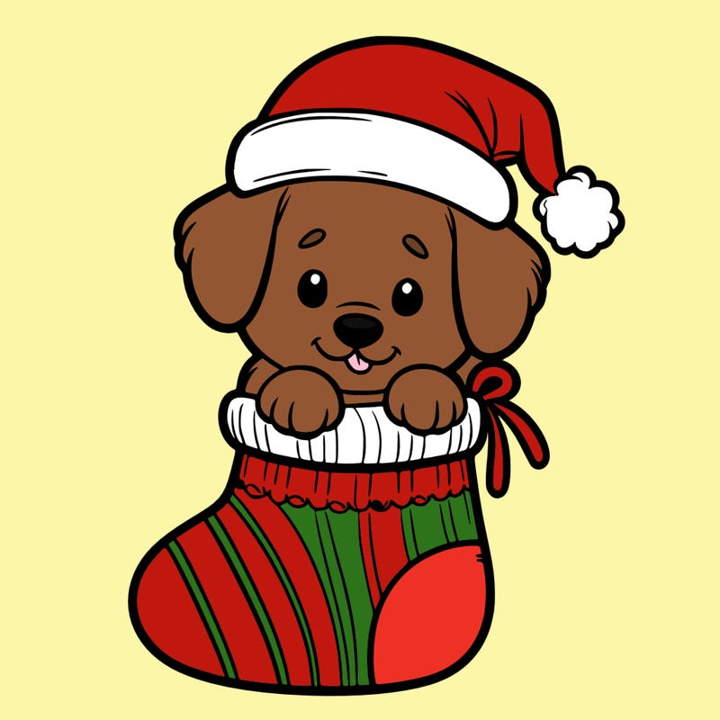 cute puppy wearing santa hat in socking