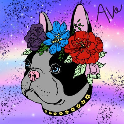 animals_76