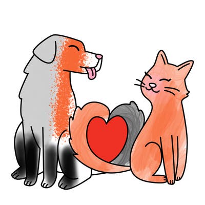 animals_22