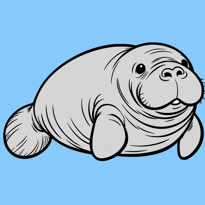 manatee