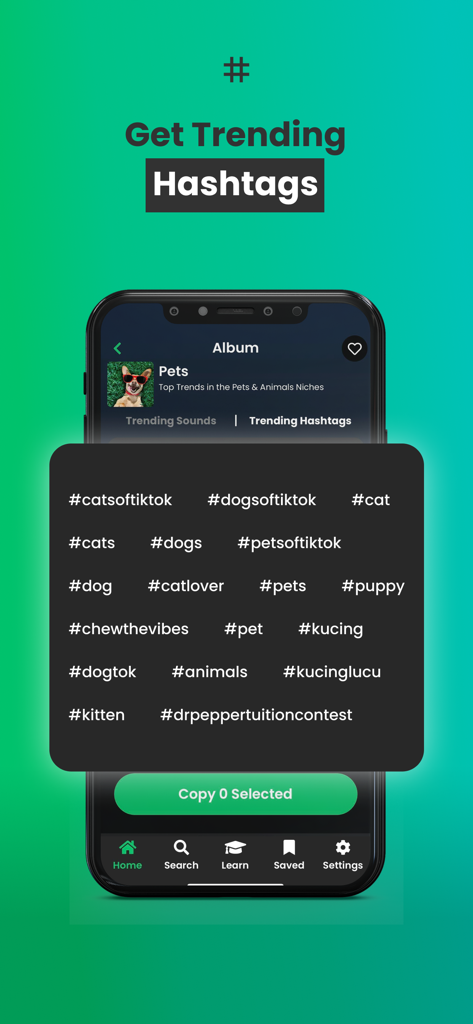 A mobile screen from TrendTok showing trending pet-related hashtags like catsoftiktok and dogsoftiktok for social media growth.