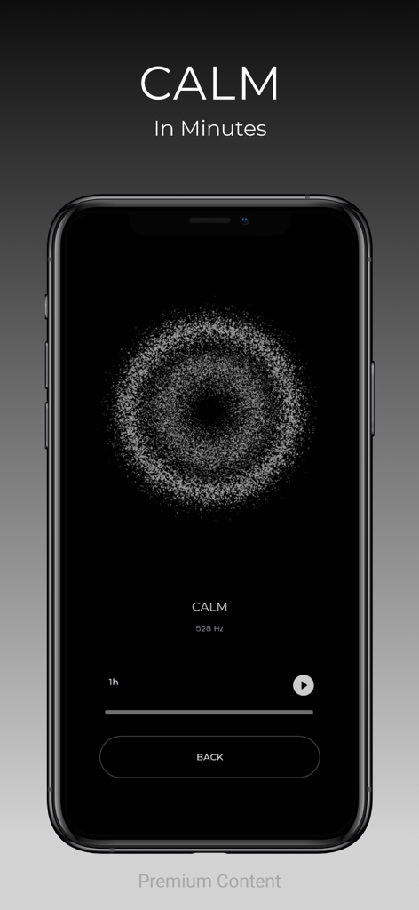 Lamda Hz: Frequency Portal - Lamda Hzアプリのインターフェース。ミニマルな円形の3Dビジュアライゼーションを備えた528Hzの静穏周波数プログラムが表示されています。