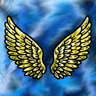 wings