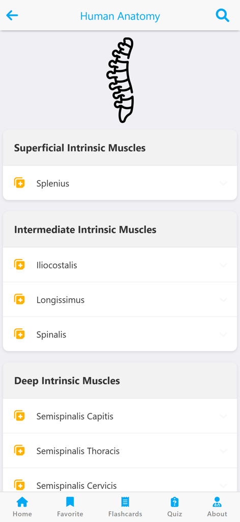 Screenshot of the Learn Muscles Anatomy app showing categories of superficial intermediate and deep intrinsic back muscles