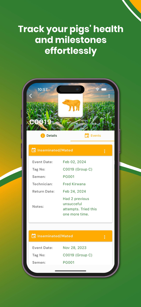 My Piggery Manager - Farm app - A mobile screen showing insemination and breeding history records for an individual pig in the My Piggery Manager app.