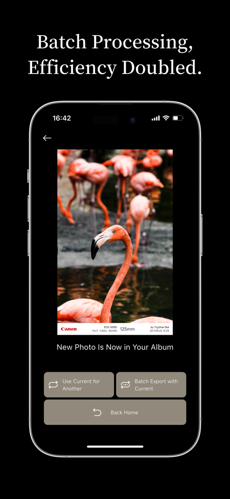 OneLine：EXIF Frame & Watermark - EXIFデータフレームとカメラブランドロゴ付きの写真のバッチエクスポートを示すモバイルアプリインターフェース