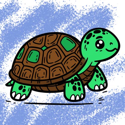 turtle