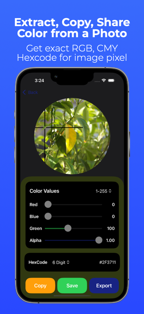 돋보기 선택기를 사용하여 사진 픽셀에서 HEX 및 RGB 코드를 추출하는 ColorPixel 앱 인터페이스