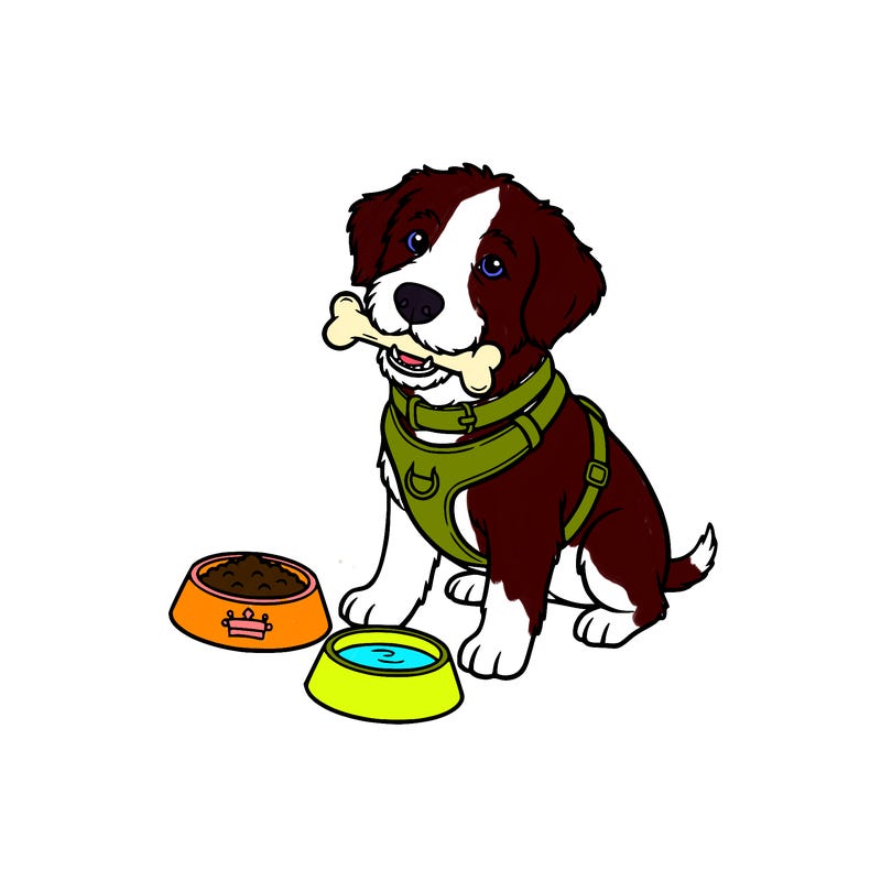 a portuguese water dog next to a food and water the dog has a ball or a bone in its mouth. the dog is wearing a collar and a harness. the dog only has one eye and three legs.