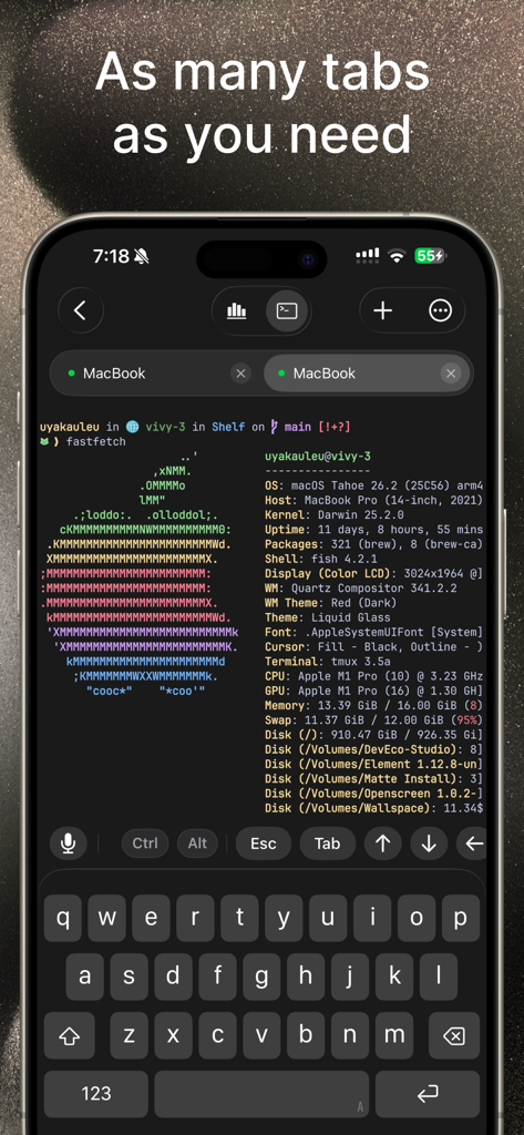 VVTerm - Interface du client SSH mobile VVTerm sur iPhone affichant plusieurs onglets de terminal et des informations sur les performances du système