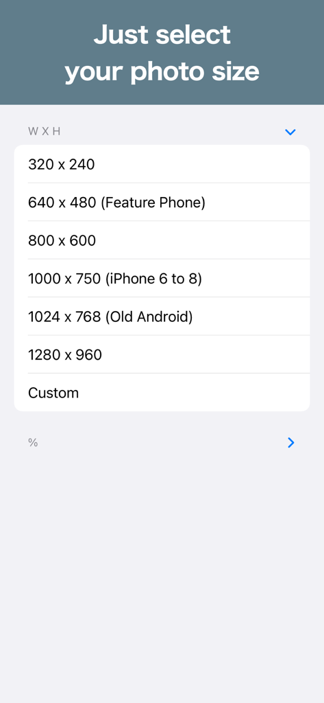 A mobile interface showing various image resolution presets and dimensions in the Photo Resizer app.