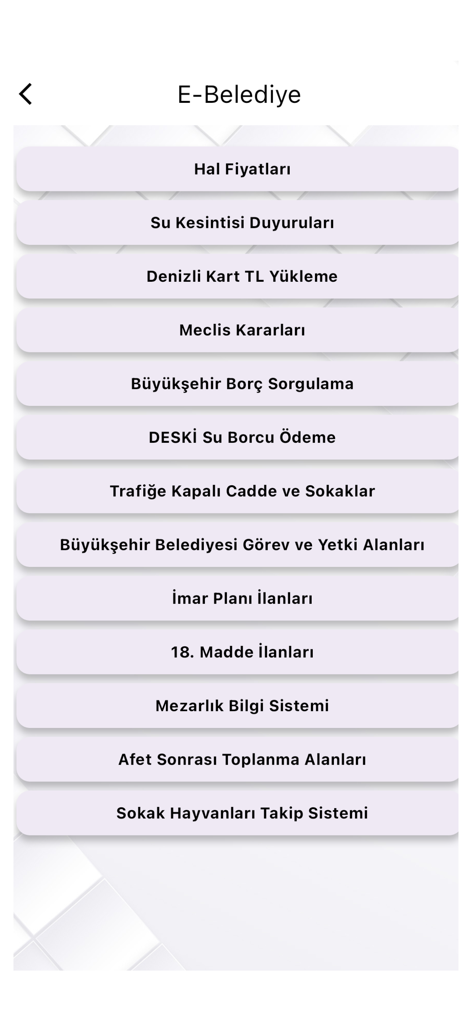 E-Belediye menu showing online services such as debt inquiry and water bill payment in the Denizli Metropolitan Municipality app