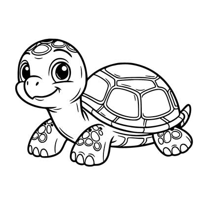 turtle