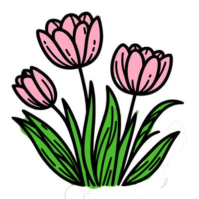 tulips
