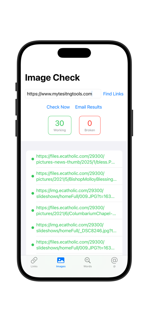 Link Check Pro app interface showing the image validation results for a website URL