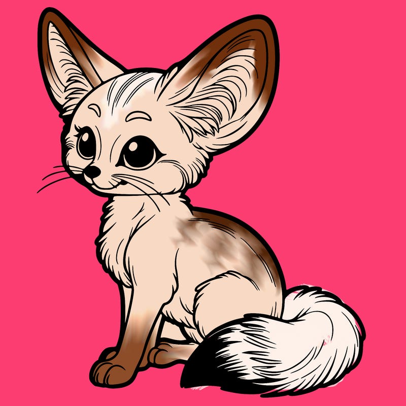 fennec fox