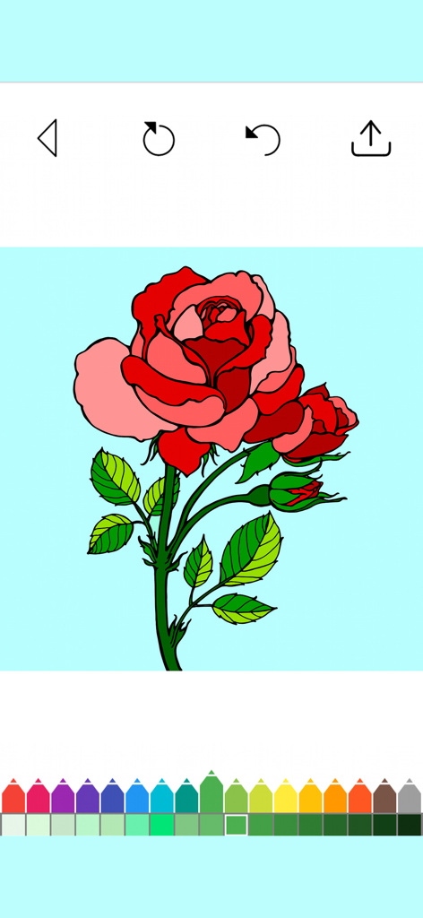 Red rose digital coloring page interface in the Flowers Adult Coloring Book app
