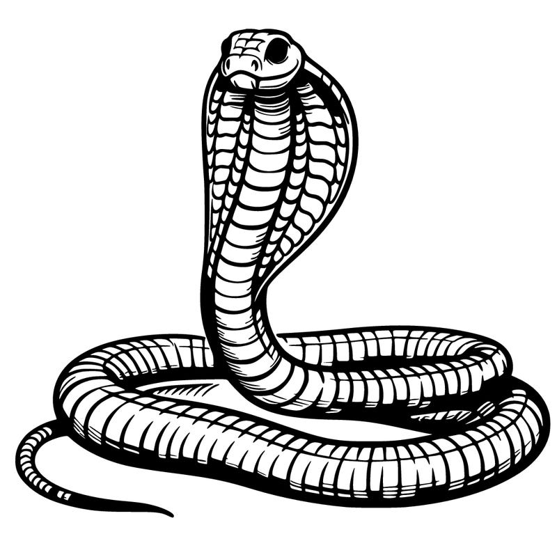 cobra snake realistic