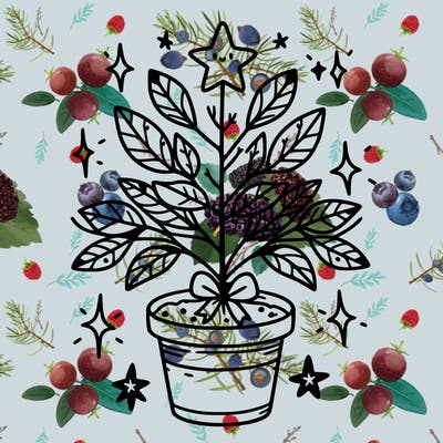 christmas plant