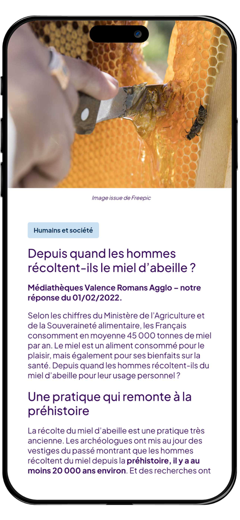 Eurêkoi - Interface de l'application Eurekoi montrant une réponse organisée par un bibliothécaire sur l'histoire de la récolte du miel d'abeille