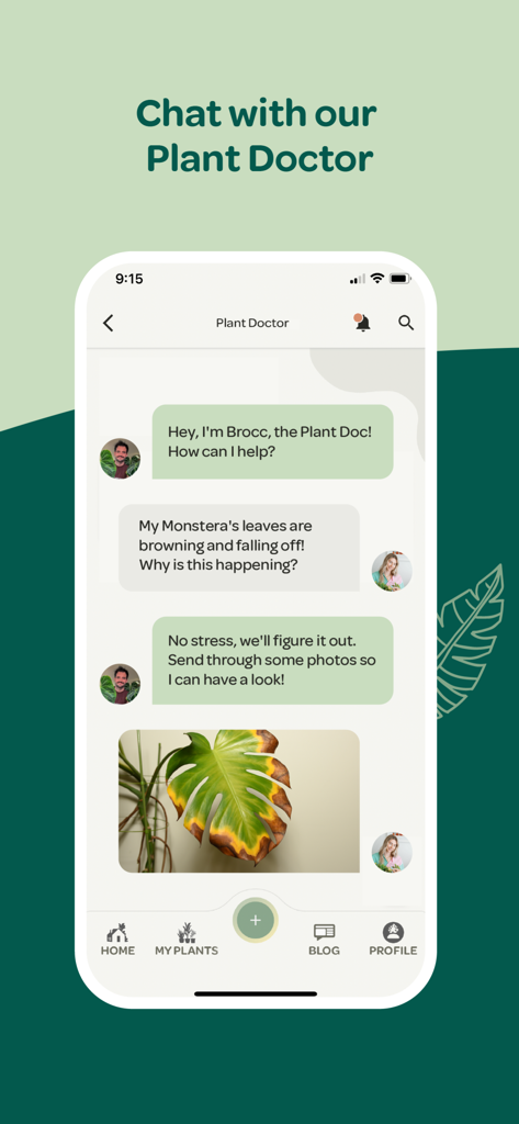 Plant with Willow - Chat interface of the Plant with Willow app showing a user consulting a horticulturist about a sick monstera plant