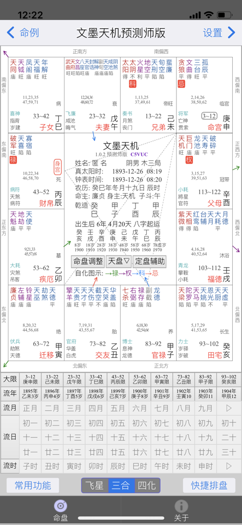 Professional Zi Wei Dou Shu astrological chart interface in the Wenmo Tianji app