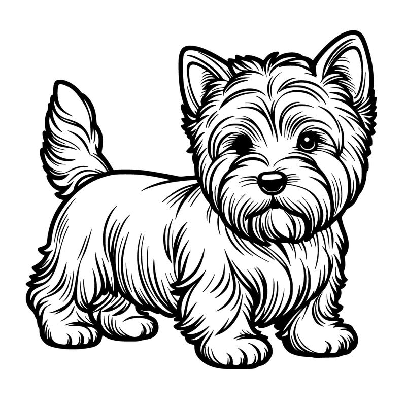 one realistic cute westy