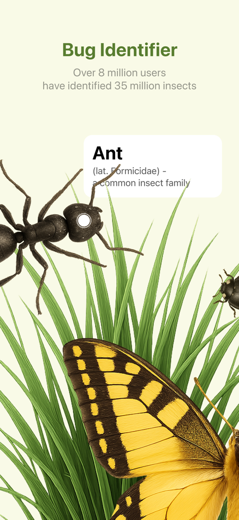 Picture insect - AI Identifier - Interfaz de aplicación móvil para identificar insectos como hormigas y mariposas usando IA