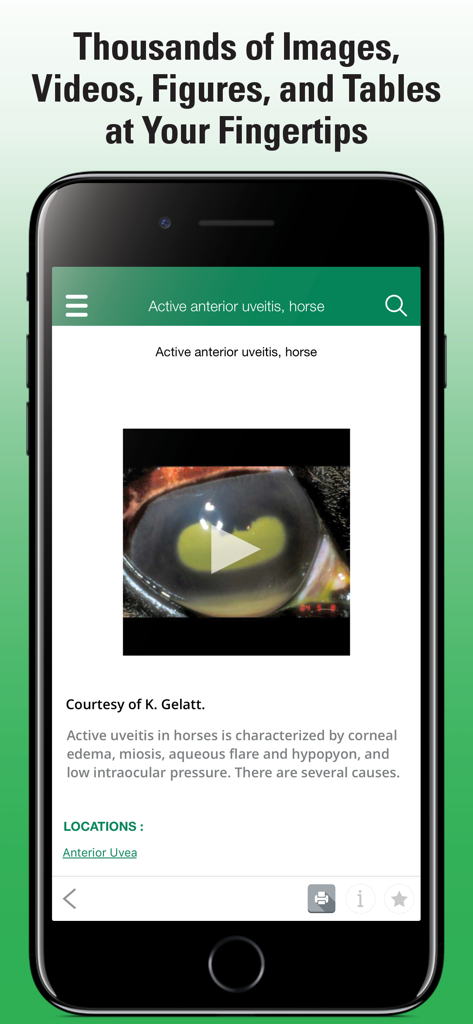MSD Vet Manual app showing equine uveitis clinical video and text