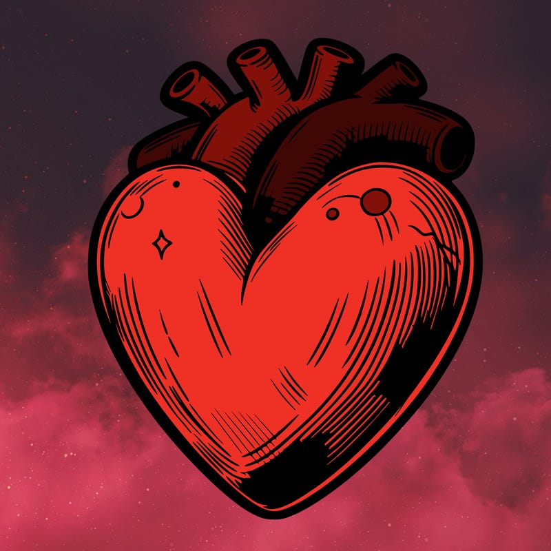 realistic heart