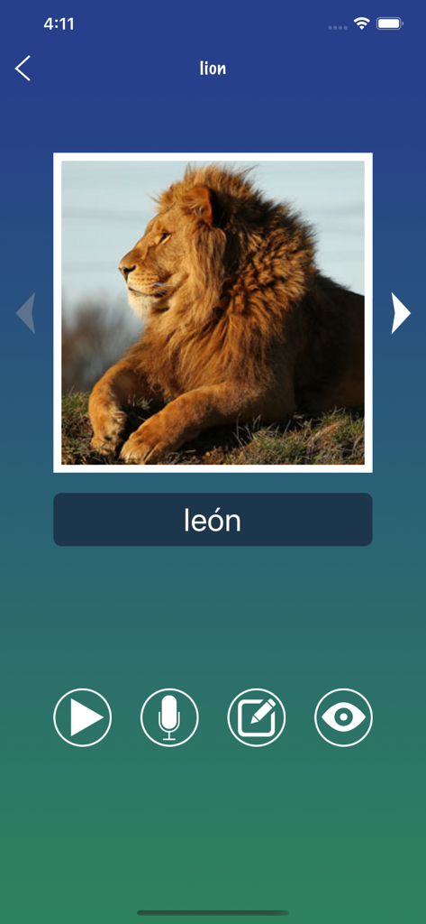 Spanish Word: Basic Vocabulary - 英語の単語「lion」とスペイン語の翻訳「leon」をライオンの画像と共に表示しているスペイン語学習インターフェース。
