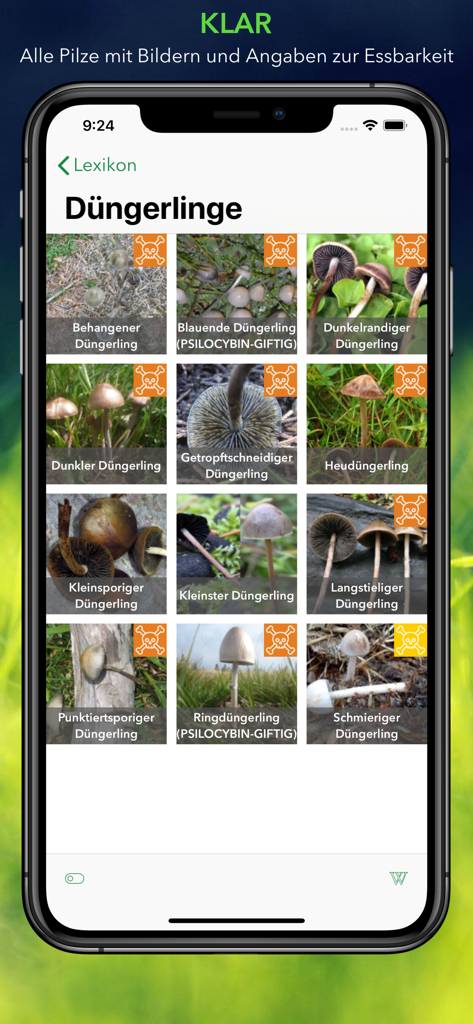 Capture d'écran de l'application Pilze 123 montrant une grille d'espèces de champignons avec des icônes de toxicité et des détails d'identification.
