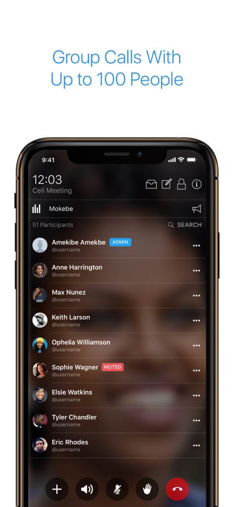 Benutzeroberfläche der KingsConference App, die eine Liste der Teilnehmer in einem Gruppenanruf zeigt
