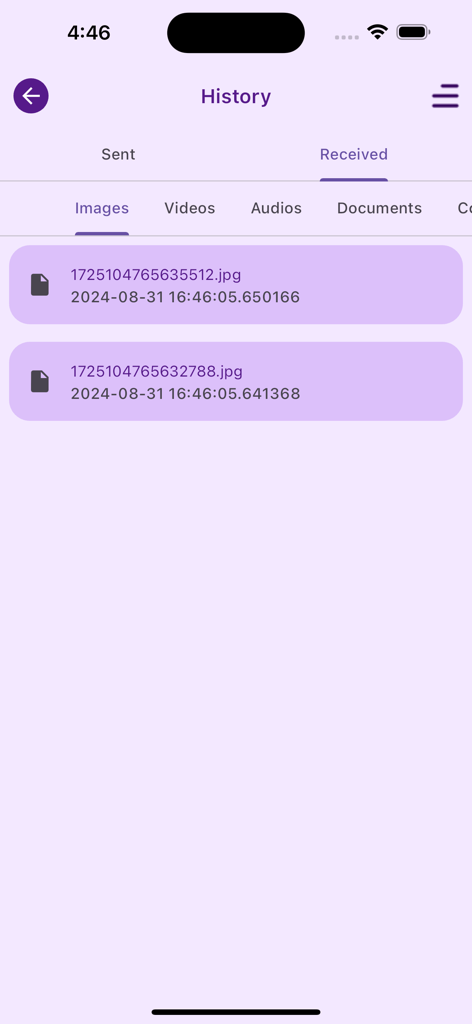 App screen showing the history of received images with filenames and timestamps
