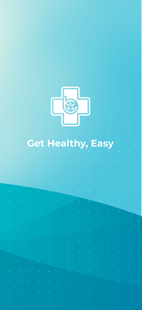 RSPI Mobile - Tela inicial do RSPI Mobile com logotipo da cruz médica e o slogan Saúde Fácil