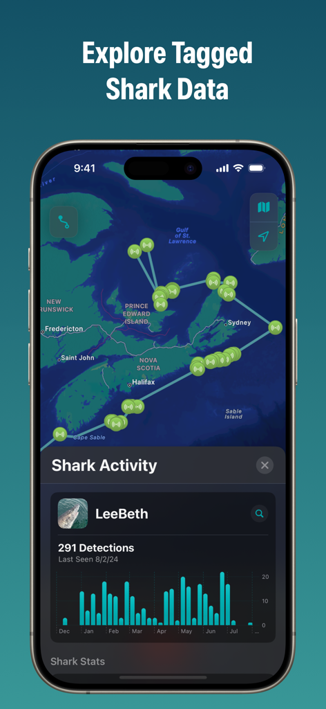 Sharktivity by AWSC - Sharktivity app interface showing an interactive map of tagged shark movements along the Atlantic coast and detection statistics for a shark named LeeBeth.