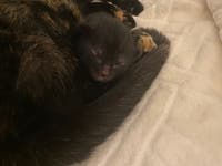 Juliet🩵✝️🫶