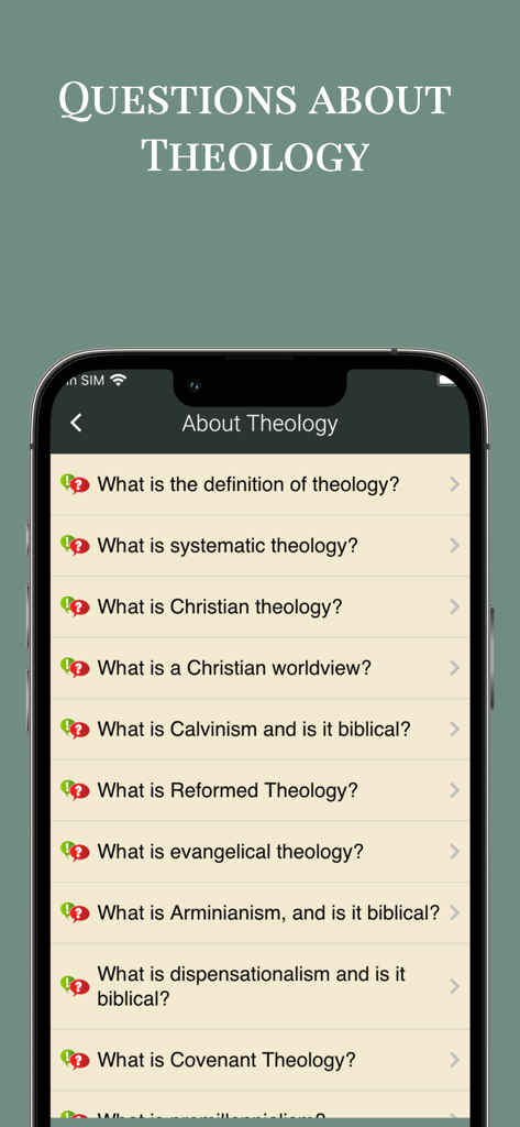 NIV Bible Offline in English - Mobile app screen showing a list of common theological questions and answers in the NIV Bible app.