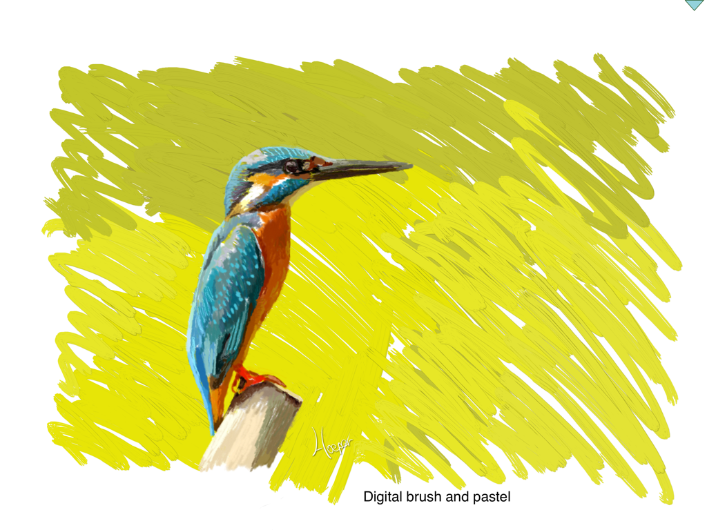 Una pintura digital de un colorido martín pescador en una rama creada con herramientas de pincel y pastel digitales.