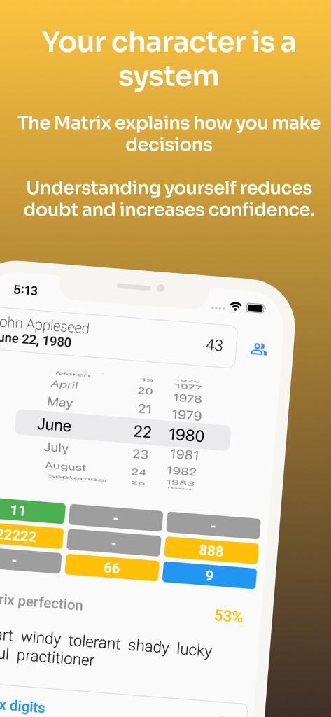Numerology AI: Only Birthdate - Numerology AI app interface displaying a character matrix analysis based on birth date input.