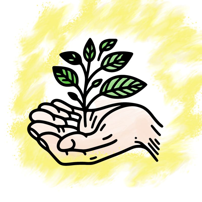 hand with plant