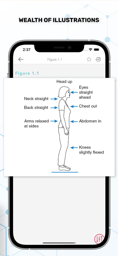 A diagram showing proper body posture and alignment in a clinical nursing guide