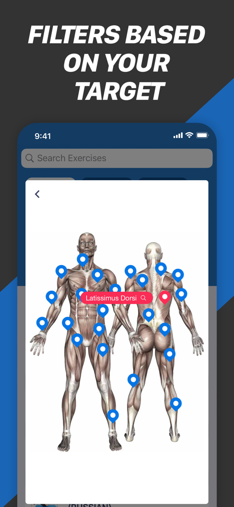 Anatomical muscle group diagram for targeted exercise filtering in the Fitness Buddy app.
